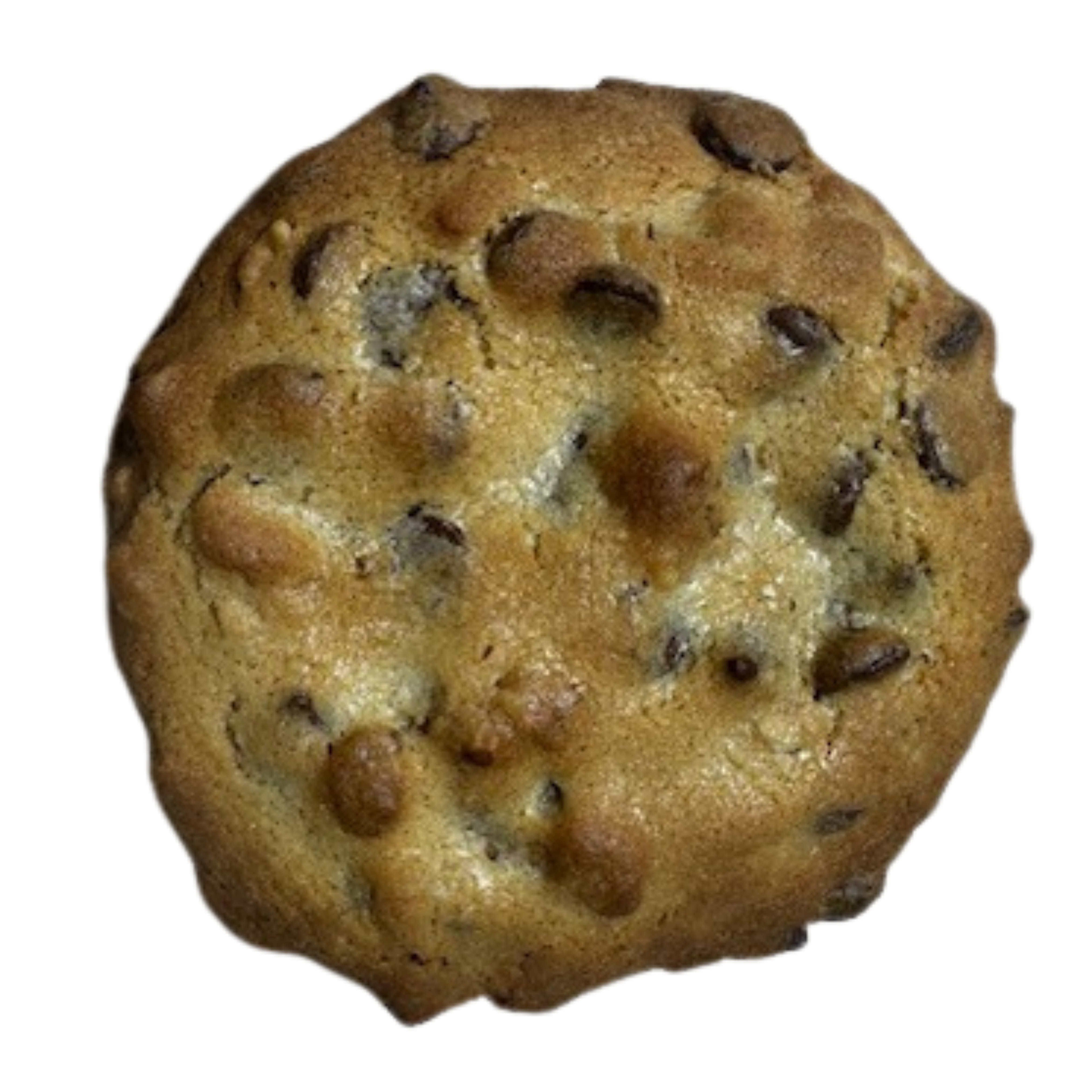 Chocolate Chip & Walnuts