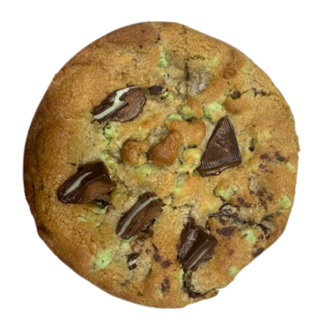 Mint Chocolate Chip Cookie